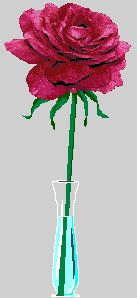 rose.jpg